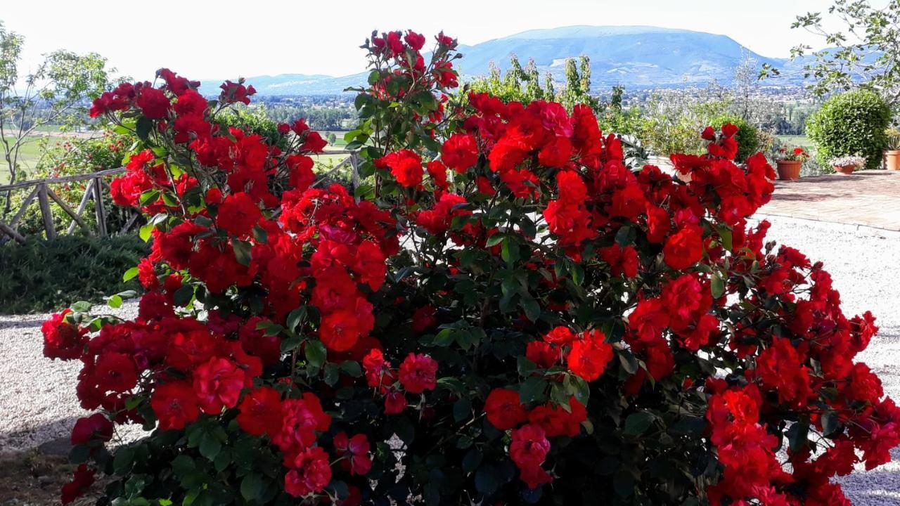 Tenuta Colverano Montefalco Dış mekan fotoğraf