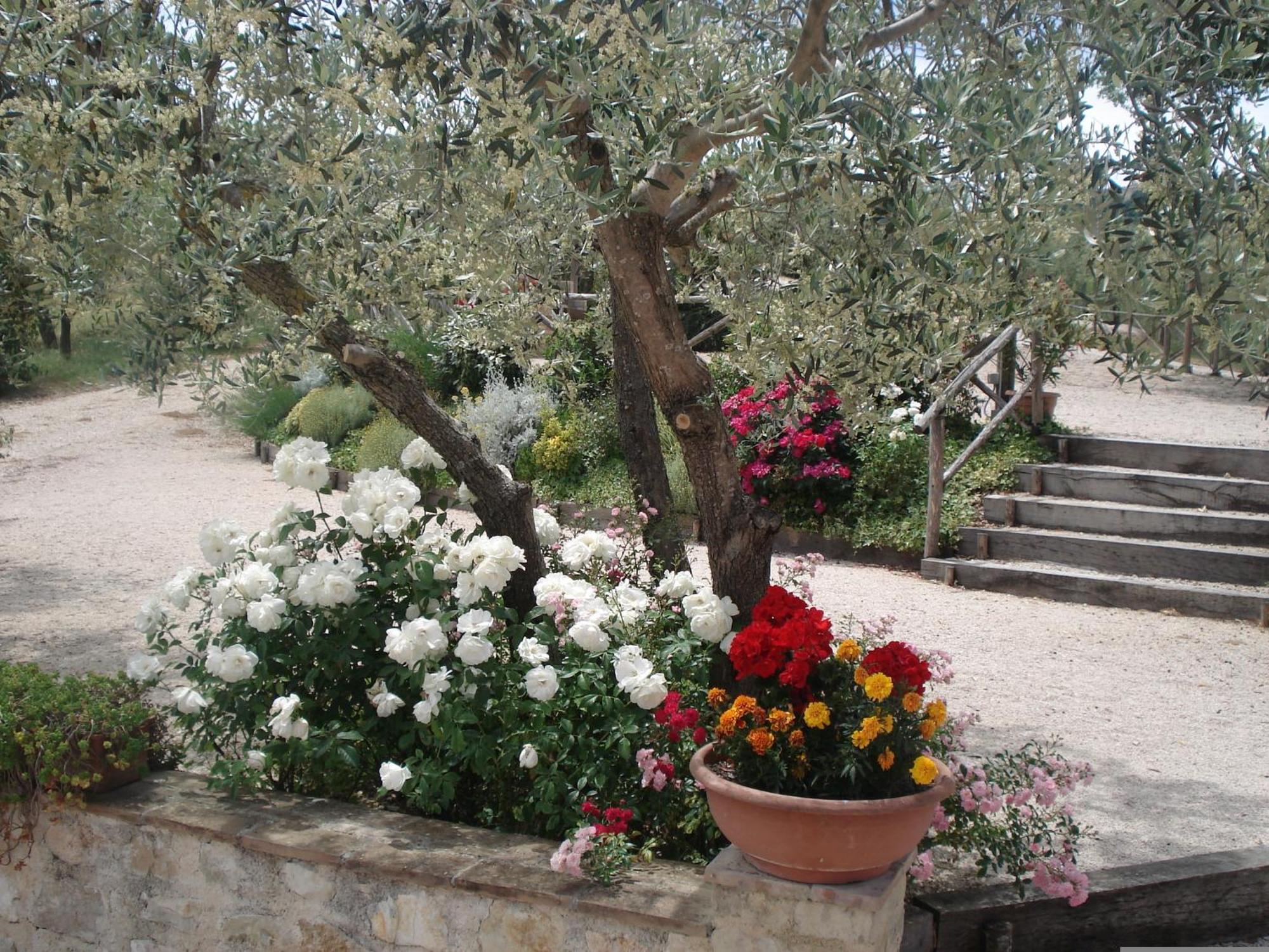 Tenuta Colverano Montefalco Dış mekan fotoğraf