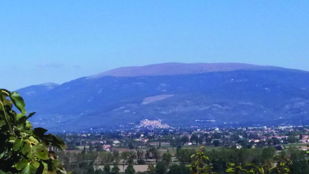Tenuta Colverano Montefalco Dış mekan fotoğraf