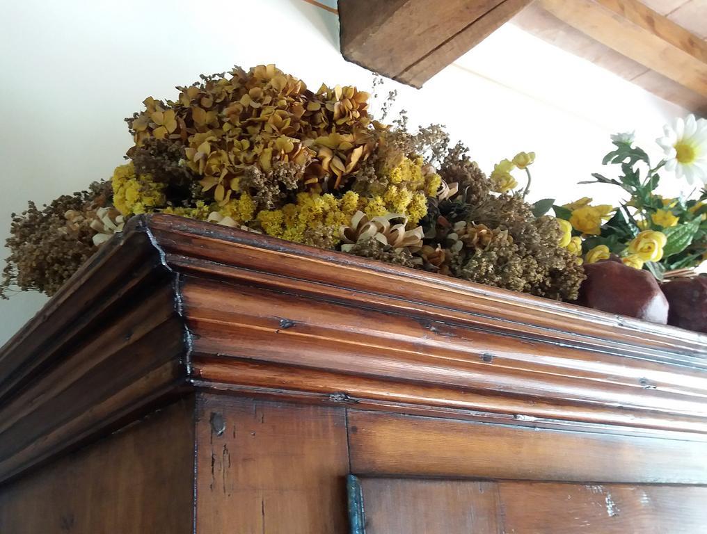 Tenuta Colverano Montefalco Dış mekan fotoğraf