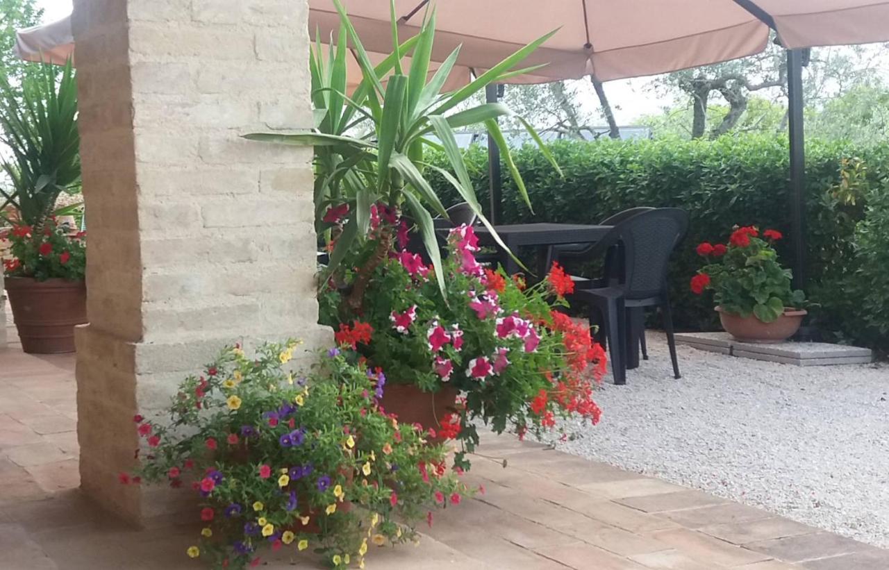 Tenuta Colverano Montefalco Dış mekan fotoğraf